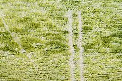 Kelimmatta Marockansk Azilal 250 x 160 cm