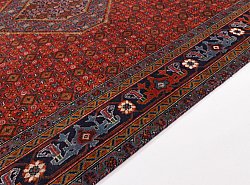 Persisk matta Hamedan 281 x 197 cm