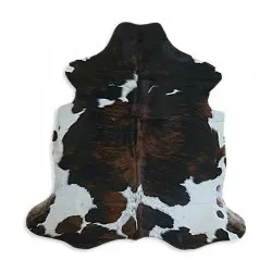 Kohud - Tricolor Exotic N328