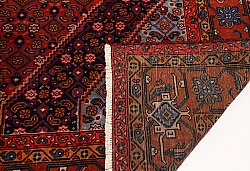 Persisk matta Hamedan 296 x 197 cm
