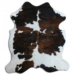 Kohud - Tricolor Exotic N175