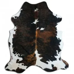 Kohud - Tricolor Exotic N183