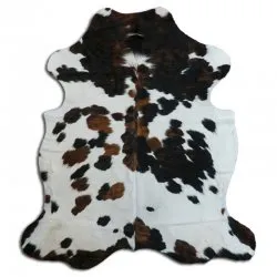 Kohud - Tricolor Exotic N184