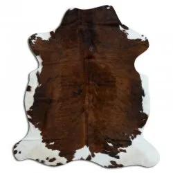 Kohud - Tricolor Exotic N227