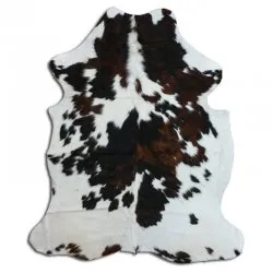 Kohud - Tricolor Exotic N232