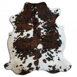 Kohud - Tricolor Exotic N010