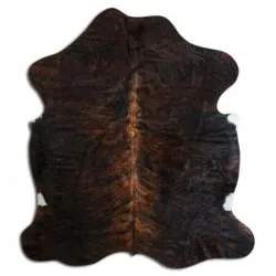 Kohud - Tricolor Exotic N113