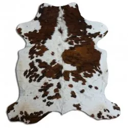 Kohud - Tricolor Exotic N118
