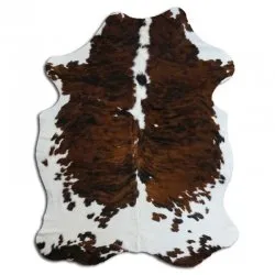 Kohud - Tricolor Exotic N120
