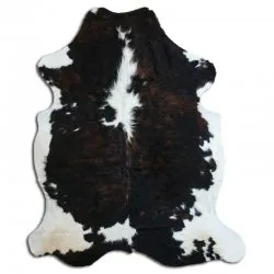 Kohud - Tricolor Exotic N013