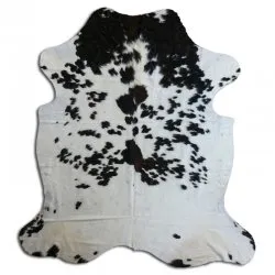 Kohud - Tricolor Exotic N137