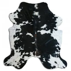 Kohud - Tricolor Exotic N148