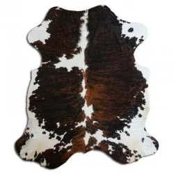 Kohud - Tricolor Exotic N151