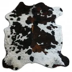 Kohud - Tricolor Exotic N152