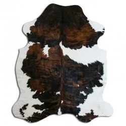 Kohud - Tricolor Exotic N153