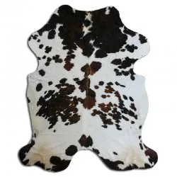 Kohud - Tricolor Exotic N156