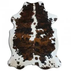 Kohud - Tricolor Exotic N016