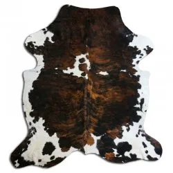 Kohud - Tricolor Exotic N168