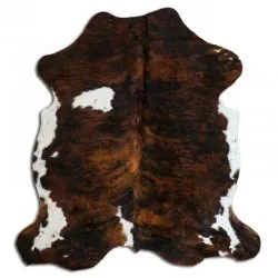 Kohud - Tricolor Exotic N171