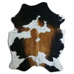 Kohud - Tricolor Exotic N019