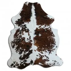 Kohud - Tricolor Exotic N020