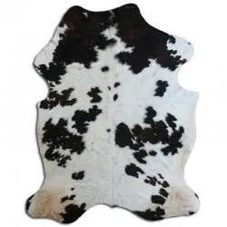 Kohud - Tricolor Exotic N021