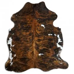 Kohud - Tricolor Exotic N025