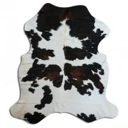 Kohud - Tricolor Exotic N036