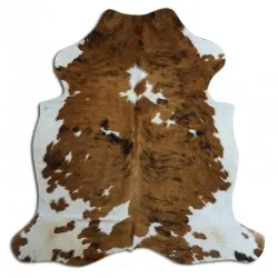 Kohud - Tricolor Exotic N040