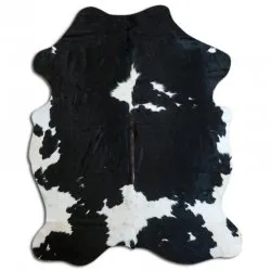 Kohud - Tricolor Exotic N050