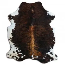 Kohud - Tricolor Exotic N054