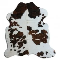 Kohud - Tricolor Exotic N065