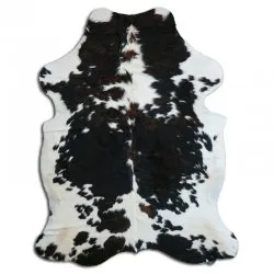 Kohud - Tricolor Exotic N066