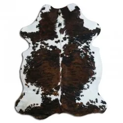 Kohud - Tricolor Exotic N067