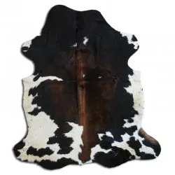 Kohud - Tricolor Exotic N069
