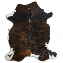 Kohud - Tricolor Exotic N073
