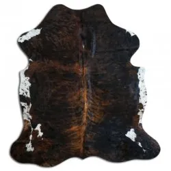 Kohud - Tricolor Exotic N078