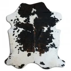 Kohud - Tricolor Exotic N085