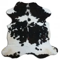 Kohud - Tricolor Exotic N098