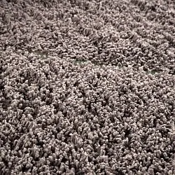 Ryamattor - Bellevue Natural Cotton Shaggy (taupe/grön)