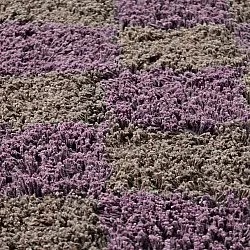 Rund matta - Elsey Natural Cotton Shaggy (brun/lila)