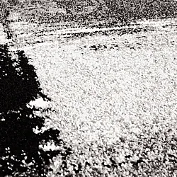 Wiltonmatta - Nesvik (grå)