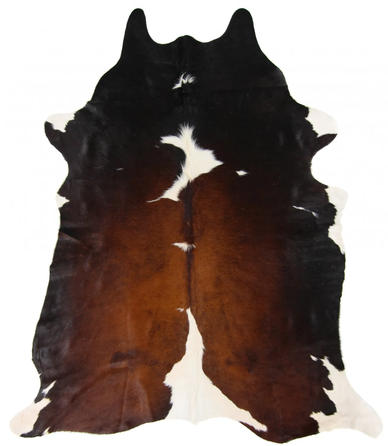 Kohud - Tricolor Exotic 03