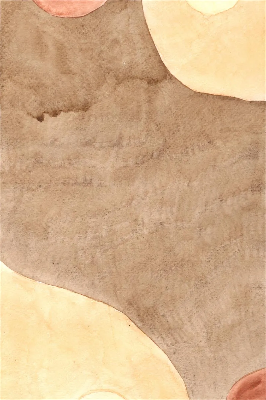 Wiltonmatta - Nisa (brun/beige)