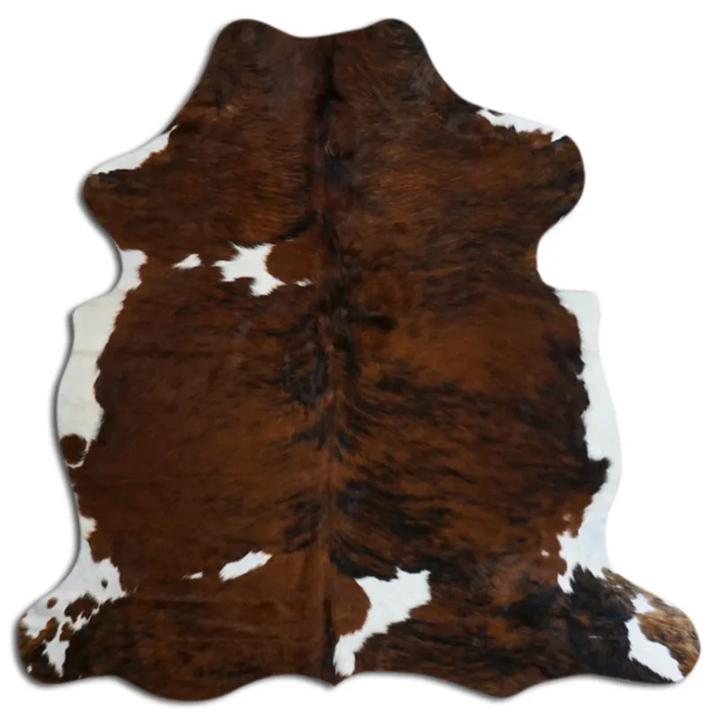 Kohud - Tricolor Exotic N161