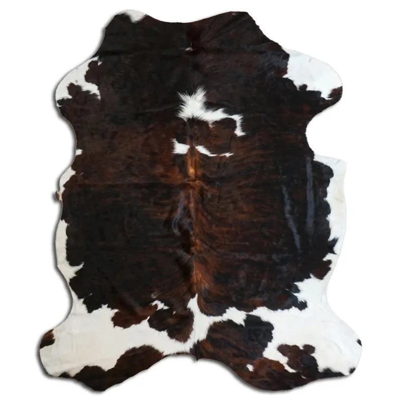 Kohud - Tricolor Exotic N166