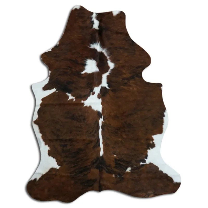 Kohud - Tricolor Exotic N033