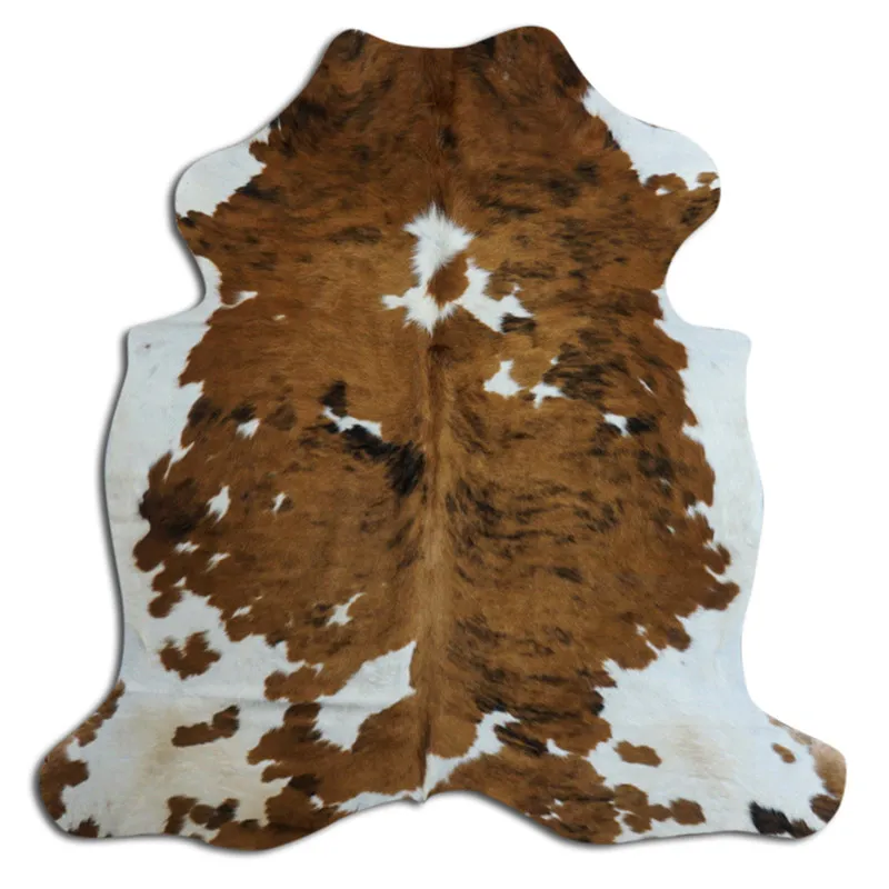 Kohud - Tricolor Exotic N040