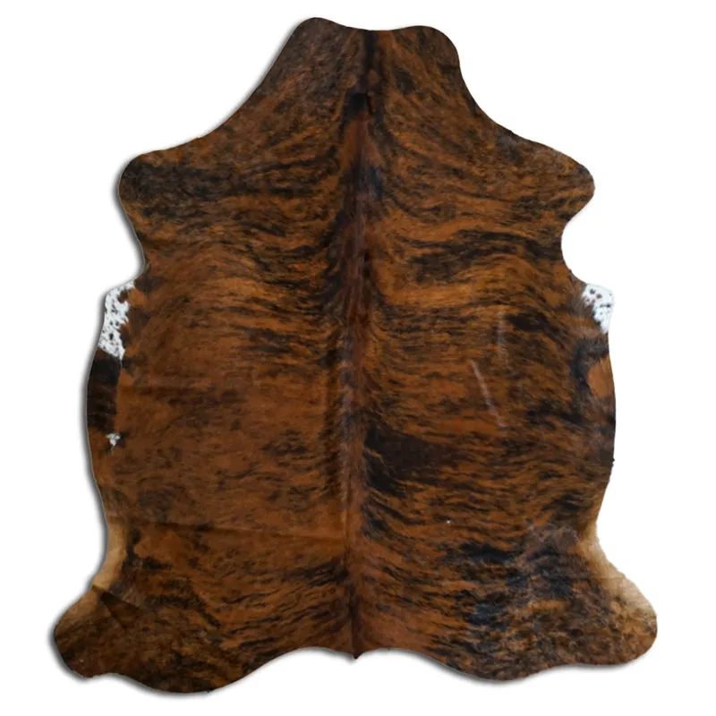 Kohud - Tricolor Exotic N044