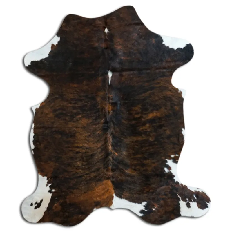 Kohud - Tricolor Exotic N073